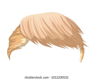 Hair Donald Trump. Can Use For Caricatures And Cartoon Character. Vector Illustration.