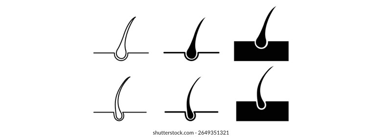 Hair follicle anatomy growth medical transplant scalp treatment dermatology skin care icon vector illustration for clinical infographic.