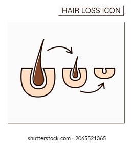 Hair follicle color icon. Causes of hair loss in men and woman. Miniaturized hair follicles, stop growing and fall out. Balding. Alopecia concept. Isolated vector illustration