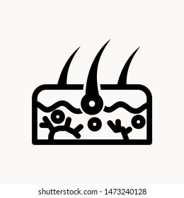 Hair follicle icon. Hair bulb medical symbol. Removal, treatment and transplantation concept. Vector illustration.
