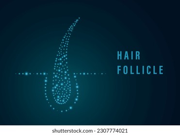 Hair follicle. Male-pattern baldness, alopecia, thinning hair, alarming levels of hair fall. Concept. Split tips, dry or sun protection concept. Hair care medical treatment