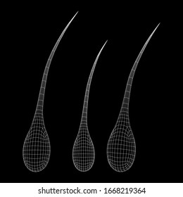 Hair follicle protect care cosmetic technology concept. Hair root structure repair shampoo salon treatment. Anatomy strands medicine trichology. Wireframe low poly mesh vector illustration