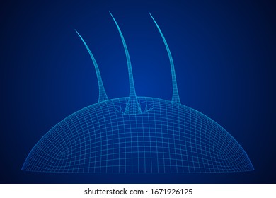 Hair follicle protect care cosmetic technology concept. Hair root structure repair shampoo salon treatment. Anatomy strands medicine trichology. Wireframe low poly mesh vector illustration