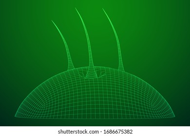 Hair follicle protect care cosmetic technology concept. Hair root structure repair shampoo salon treatment. Anatomy strands medicine trichology. Wireframe low poly mesh vector illustration