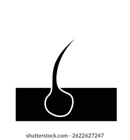 Hair Follicle Structure anatomy icon. Perfect for beauty skin clinic symbol or logo.