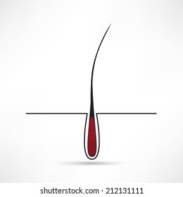 hair follicle treatment design