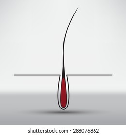 hair follicle treatment design