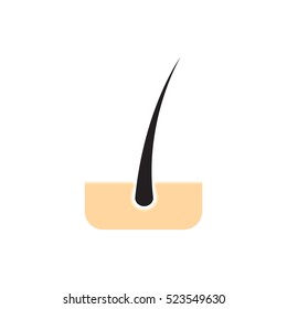 Hair follicle vector