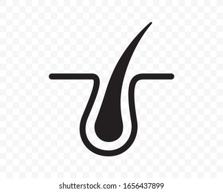 Hair follicle vector icon in flat line.