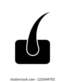 hair follicle. vector illustration