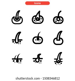 hair follicles icon isolated sign symbol vector illustration - Collection of high quality black style vector icons
