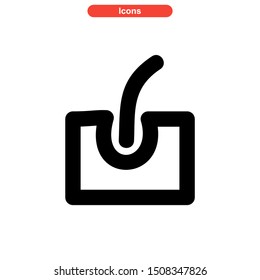 hair follicles icon isolated sign symbol vector illustration - high quality black style vector icons
