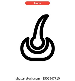 hair follicles icon isolated sign symbol vector illustration - high quality black style vector icons
