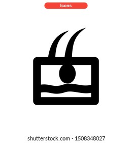hair follicles icon isolated sign symbol vector illustration - high quality black style vector icons
