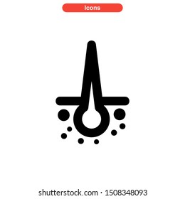 hair follicles icon isolated sign symbol vector illustration - high quality black style vector icons
