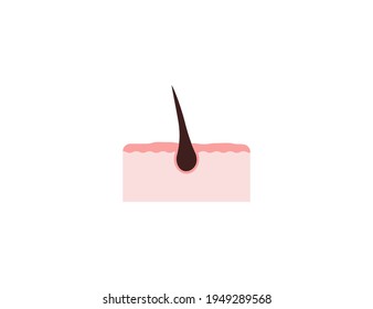 Hair, hair follicles, root icon. Vector illustration.
