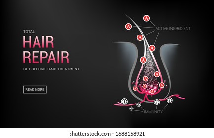 Hair Follicles In Skin, Vitamins, Keratin Hair Repair Spa, Growth Cycle, Deep Treatment With Active Ingredients, Vector Illustration