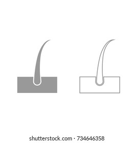 Hair grey set icon .