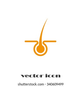 Hair Icon.