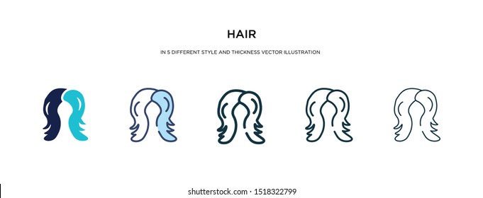 hair icon in different style and thickness vector illustration. Two colored and black hair vector icons in filled, outline, line, stroke style can be used for web, mobile, UI