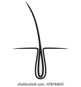 hair icon isolated.