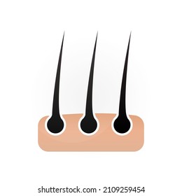 hair icon on a white background, vector illustration