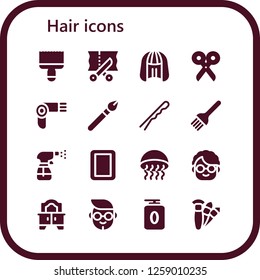  hair icon set. 16 filled hair icons. Simple modern icons about  - Paint brush, Scissors, Wig, Hairdryer, Makeup, Hairpin, Brush, Spray, Mirror, Medusa, Grandmother, Boy, Gel