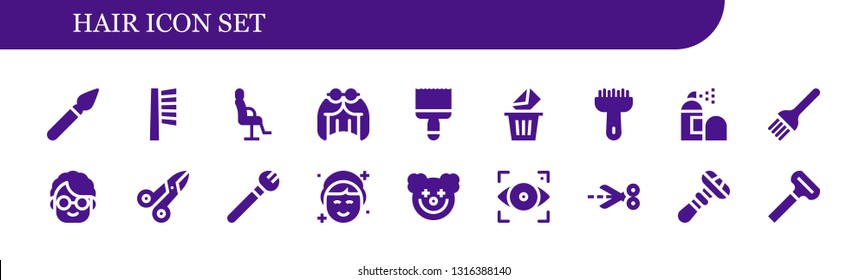 hair icon set. 18 filled hair icons.  Collection Of - Paint brush, Brush, Salon chair, Wig, Removed, Spray, Grandmother, Scissors, Makeup, Clown, Focus, Razor