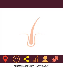 Hair  icon. Vector design. 