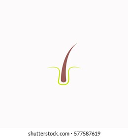 Hair  icon Vector design. Colored illustration.