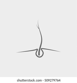 hair icon, vector desing