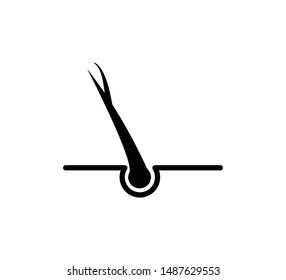Hair icon vector style isolated