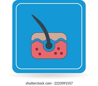 hair illustration, can be used for icon