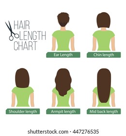 Hair Length Chart Female