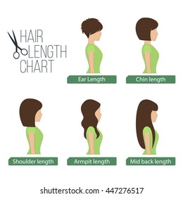 Hair Length Chart Side View. Vector.