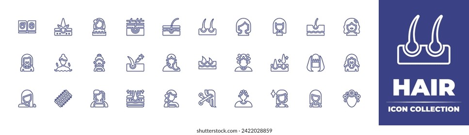 Hair line icon collection. Editable stroke. Vector illustration. Containing transplant, removal, hair loss, woman, follicle, wig, sauna, dermatology, student, curler, hair.