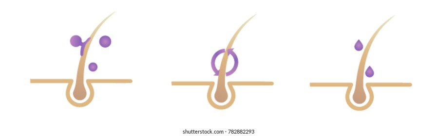 hair line illustrations