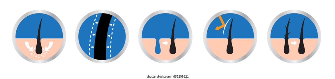 Hair Logo Set Vector , 9 Icon / Skin Uv Include