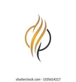 Hair logo template vector icon illustration design