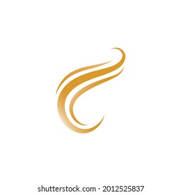 Diseño de la ilustración de icono vectorial de la plantilla de logotipo de Hair