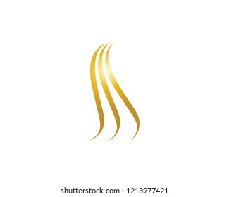 Hair  logo vector ion template