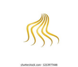 Hair  logo vector ion template