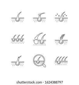 Hair loss pixel perfect linear icons set. Damaged hair, unhealthy roots. Scalp and follicle. Skin tissue. Customizable thin line contour symbols. Isolated vector outline illustrations. Editable stroke