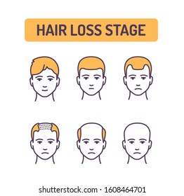 Hair loss stage color line icon. Stages at which the amount of hair on a person s head gradually decreases. Pictogram for web page, mobile app, promo. UI UX GUI design element. Editable stroke.