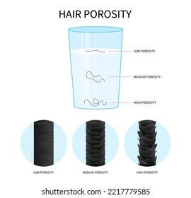 hair porosity test for dryness drop sinks thinning hydration moisturization