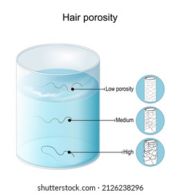 prueba de porosidad del cabello. El pelo flota en vidrio con agua. alta porosidad - el pelo pierde fácilmente la humedad. medio - las cutículas están sueltas. baja porosidad - dificultad para obtener humedad