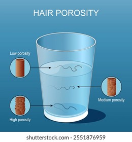 Teste de porosidade capilar. Hidrófilo vs hidrofóbico. Ensaio de flutuação. Copo de água. Close-up de cabelo com baixa, normal e alta porosidade. Absorção de água pelos. Ilustração plana isométrica. Cartaz vetorial