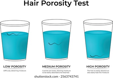 Hair Porosity Test Low Porosity Medium Porosity High Porosity Design Vector Illustration