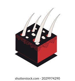Hair problems isometric composition with isolated closeup piece of hair with dandruff vector illustration