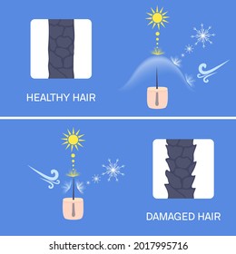 Hair protection shield from environmental effects of sun UV rays, cold weather and wind. Hair damage prevention concept. Before after result in close up. Medical vector illustration.